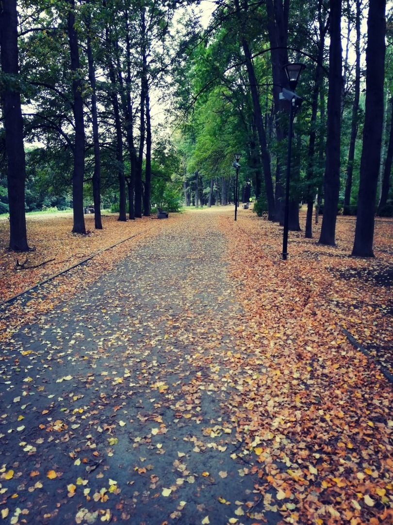Осень в парке ямка